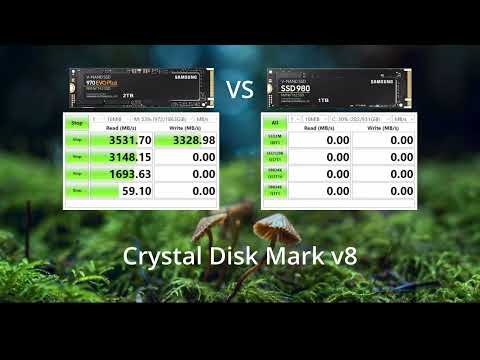 Samsung 970 EVO vs Samsung 980