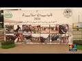 ماڈل منڈی مویشیاں شیخوپورہ میں لائیو سٹاک کیٹل شو کا اہتمام کیا گیا اس موقع پر ایز لائیو