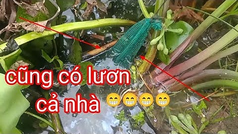 #13.Đặc Trúm Lươn Của Năm Mới2023.New Year