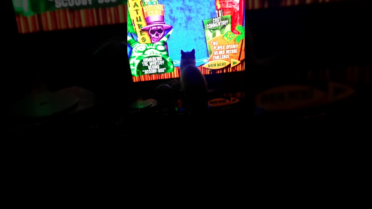 camera iphone 8 plus apk First time video with my cat trouble maker reacting to Scoobydo movie intro!