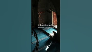 "اللَّهُ نُورُ ٱلسَّمَـٰوَٰتِ وَٱلْأَرْضِ ✨ | تلاوة خاشعة تضيء القلوب – ياسر الدوسري | سورة النور"