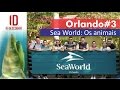 Orlando #3 - Sea World: Os Animais - Ir e Descobrir