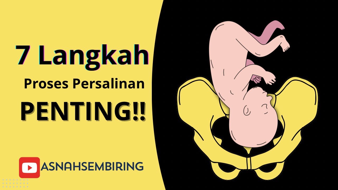 Proses Persalinan Normal : 7 Tahapan yang Terjadi Saat Bayi Lahir