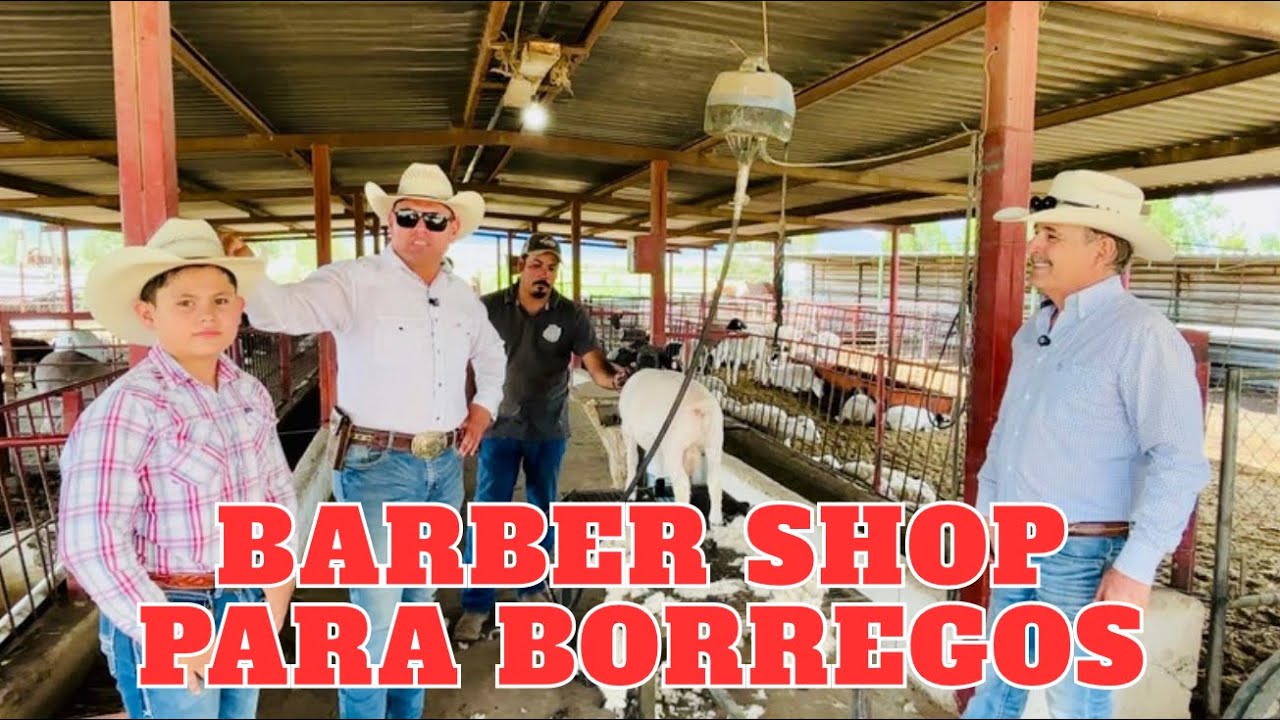 PARTE 3/3 PEPE CHARÚA a sus trabajadores los hace comerciantes 