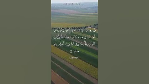 بسم الله الرحمن الرحيم من سورة الزمر تلاوة القارى محمد الفقيه