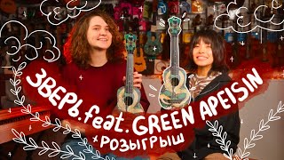 GREEN APELSIN - ЗВЕРЬ разбор на укулеле \ Даша Кирпич и @GreenApelsin7