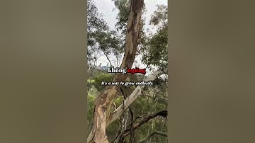 KỸ NĂNG HỌC TẬP SUỐT ĐỜI – CHÌA KHÓA CỦA THÀNH CÔNG BỀN VỮNG