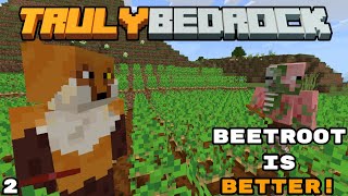 Beets VS Potatos! & Starting The Mega Mega Base! - Truly Bedrock Season 4 Minecraft SMP Episode 2