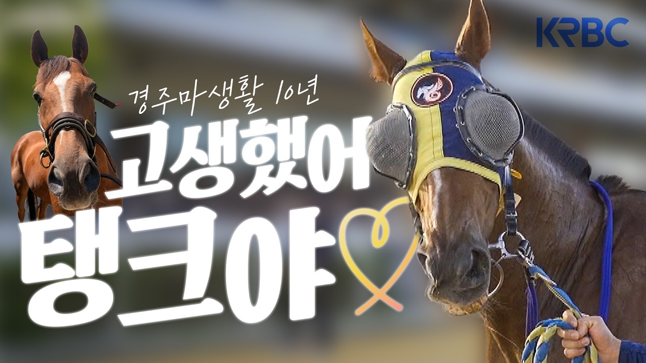 #서울탱크 덕분에 행복했습니다