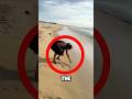 She Wrote “God” in the Sand to Prove He’s Real… What Happened Next Shocked Everyone 😱🙏
