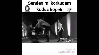 Senden Mi Korkucam Kuduz Köpek