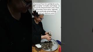 Yıllarca Boşuna Uğraşmışım İşin Sirri Inlar