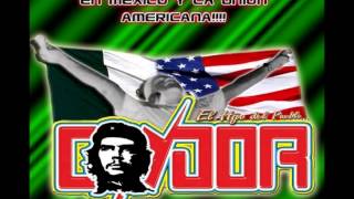 Paloma Ajenasonido Condor Leonardos