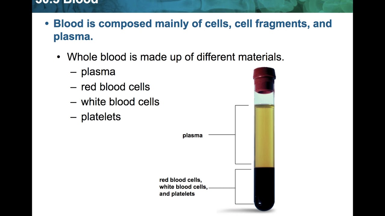 Topic 30. Blood components. Blood is composed of....... Composition of Blood components of Blood. Blood Composition and function.