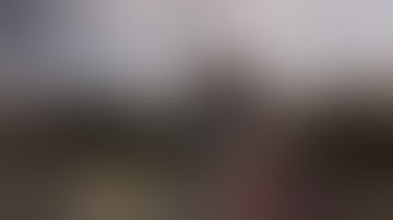 Legendary Fennec On Map (Shipment 1944) Must Watch