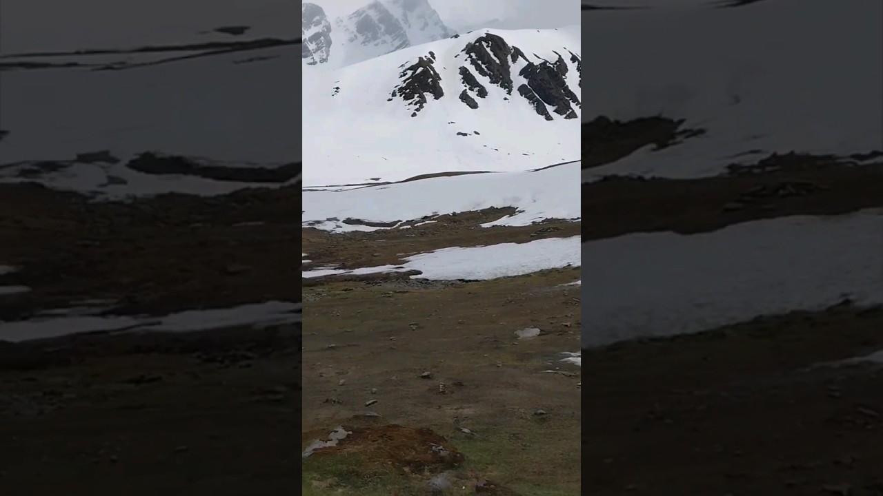 मेगी PahadoVali 