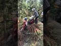 Woman riding bicycle falls into ditch