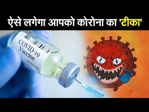 Corona Vaccine: भारत सरकार ने Corona Vaccination के लिए 4 श्रेणियां बनाई हैं