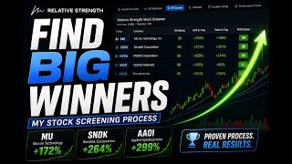 How I Find the Biggest Winning Stocks in the Market