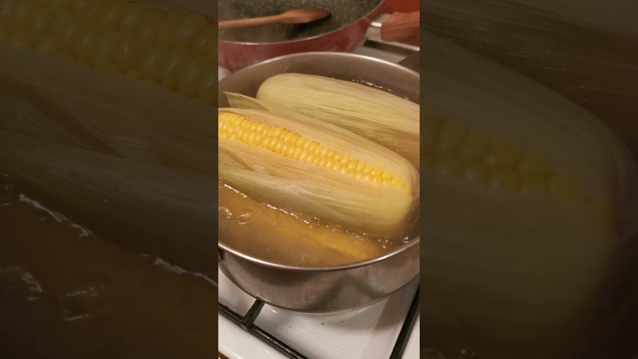 PANNOCHIE / MAIS DOLCE /GRANTURCO /SWEET BOILED CORN