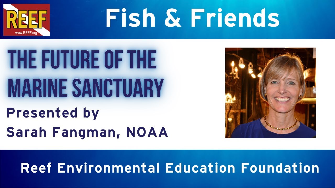 REEF Fish & Friends: Shaping the Future of the Florida Keys National Marine Sanctuary