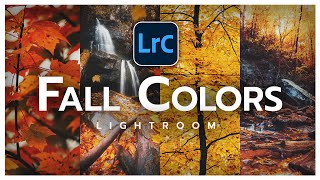 How to EDIT FALL PHOTOS in LIGHTROOM screenshot 5