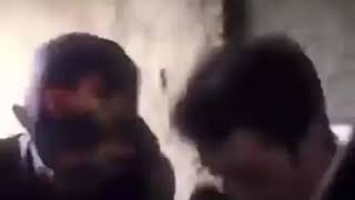 Muito Foda Alek Vamo Dançar - Ercup