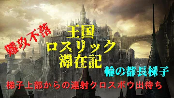 連写クロス棒