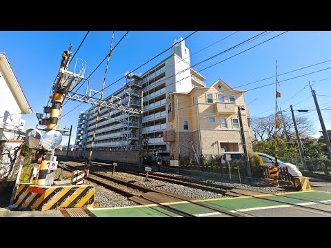Residential Japan - Exploring Kashiwa, Chiba! | JAPAN LIVE STREAMS 2023