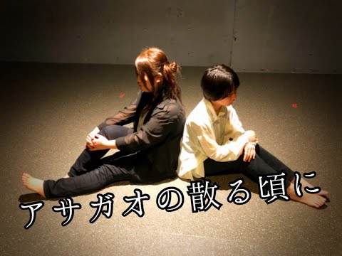 【Matricaria】アサガオの散る頃に【踊ってみた】
