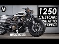 New 2021 Harley-Davidson 1250 Custom: What To Expect! (Revolution Max Powered Sport Cruiser)