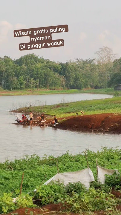 #santai #pinggir #waduk #wisatagratis #ayamkampung #pemandanganindah #fypシ゚viral #shorts