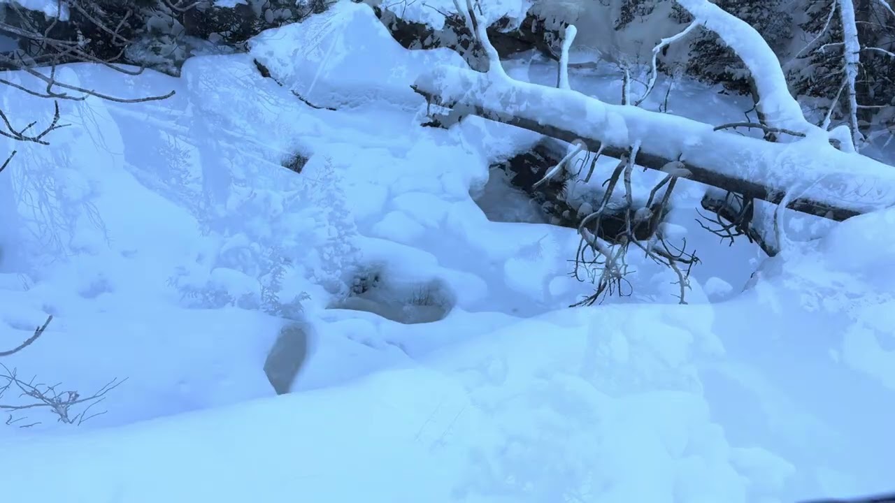 Some cross country skiing 