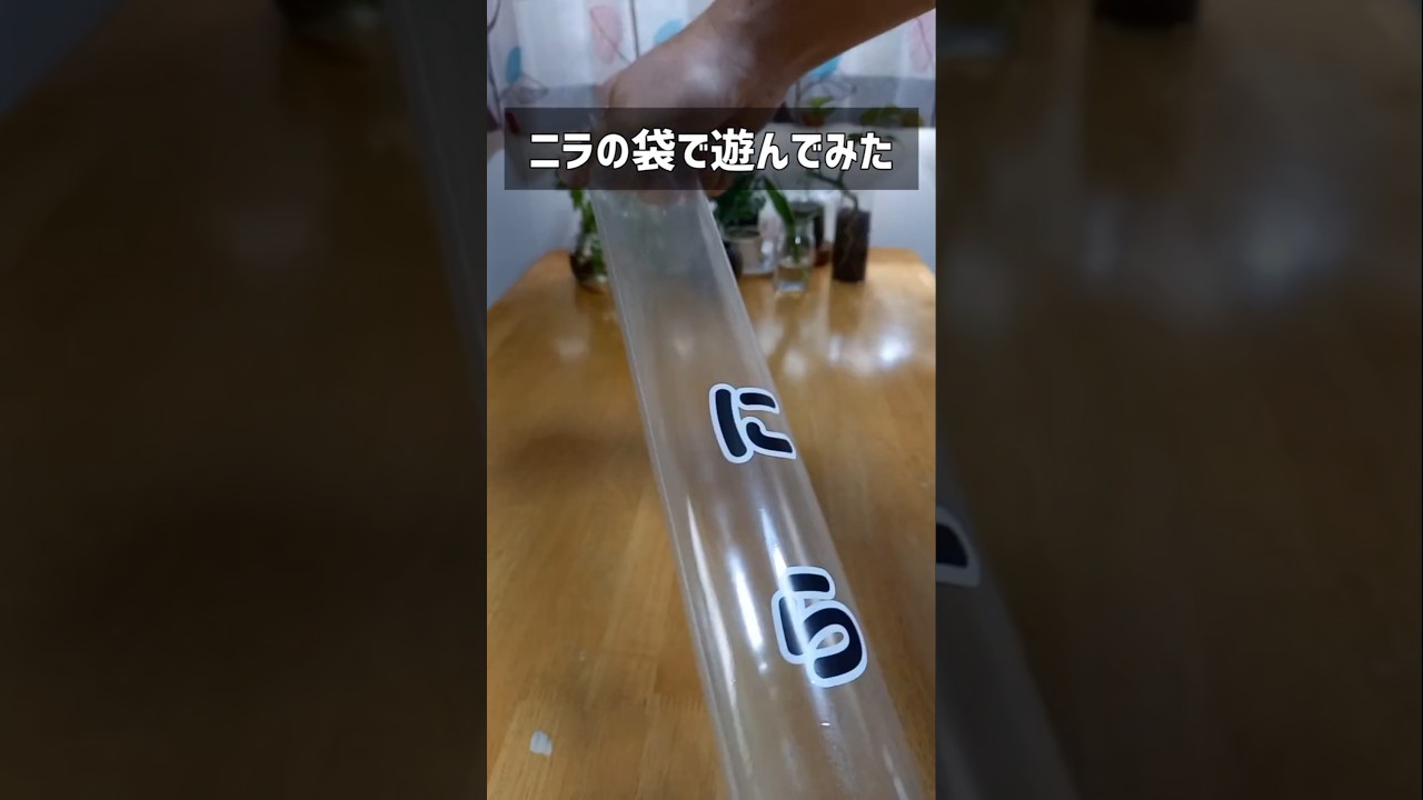 にらの袋でできる遊び #手作り #おもちゃ #簡単工作 #ショート