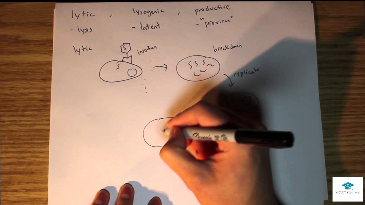 MCAT Biology Lecture: Virus