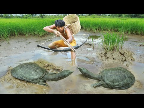 Fishing meet Turtle