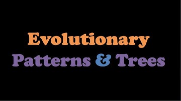 Evolutionary Patterns and Trees