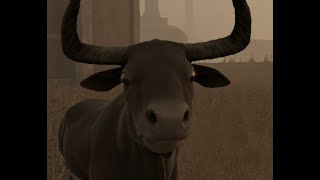 pathologic moment 2