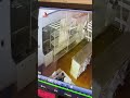 Bizarre moment man throws keg through bakery window