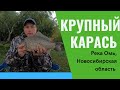 Крупный карась, р. Омь #карасьОмь