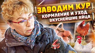 Своё хозяйство для начинающих. Куры - кормление и уход! Отзыв спустя год после заведения птицы.