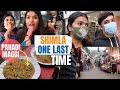 *LAST* Shimla Road Trip VlOG 🇮🇳✨🔥| पहाड़ी स्टाइल में Maggi Masala at KUFRI | Shalini Mandal