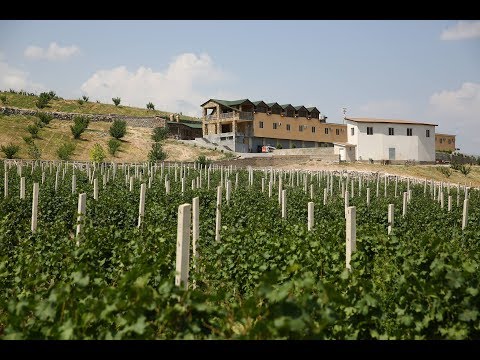 Video: Kdo Se účastní Festivalu „Arkhangelskoye Jazz Estate“