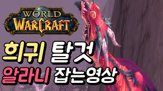 [WOW 월드오브워크래프트] 희귀 탈것 알라니 잡는 영상