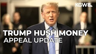 Federal appeals court says Trump should be allowed to fight hush money conviction again