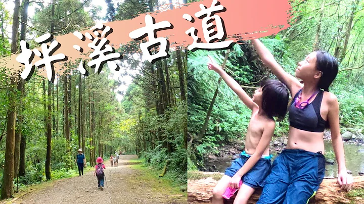 台北假日推荐｜健行｜淡兰古道/最佳五星级亲子步道-坪溪古道/消暑，溯溪，森林，小孩挑战，赏景通通都有 - 天天要闻