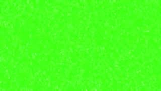 Led Lights Green 🍏💚 Colour Solid Screen For 10 Hours In 4k UHD RGB 