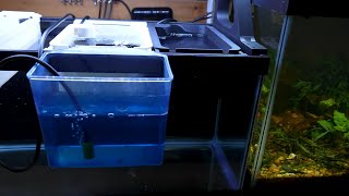 20 Long Easy Fry Nursery Setup Method