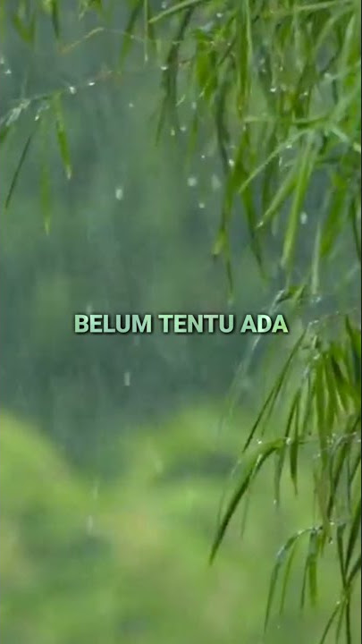 story wa - hal hebat #shorts