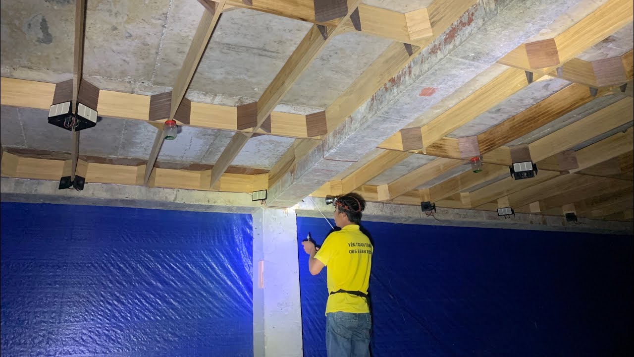 Tăng đàn chim yến, lắp thêm loa ru và cho chim yến phân bổ đều tại Bình Dương